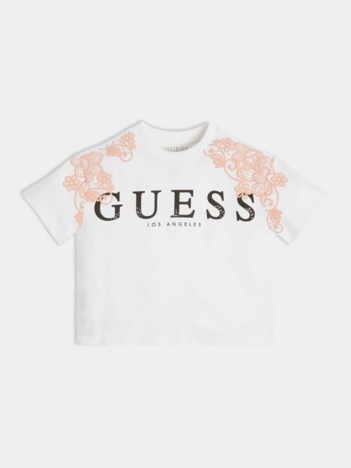 Gm10684j3gi19kb7t0g011 1 | Guess