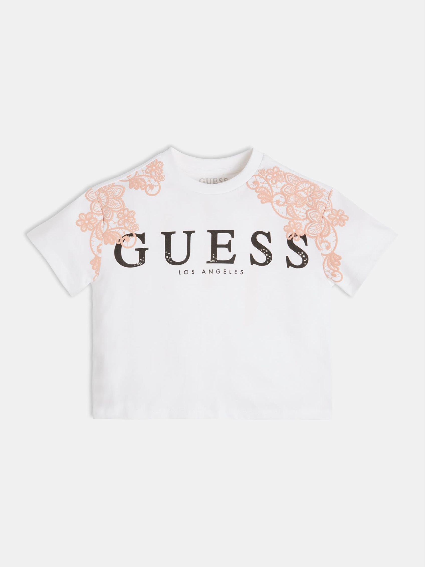 Gm10684j3gi19kb7t0g011 1 | Guess