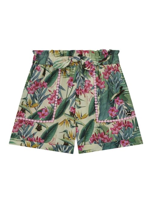 Gm13807j4gd03wg5s2p81x 1 | Guess