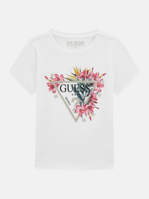 Gm13865k4gi02k6yw4g011 1 | Guess